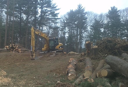 SeMass Tree Service in Cape Cod technician operating a latge piece if equipment as part of a land clearing project.